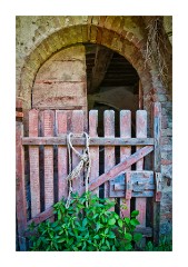 Azienda Faunistico Venatoria Old Gate