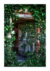 Azienda Faunistico Venatoria Open Door