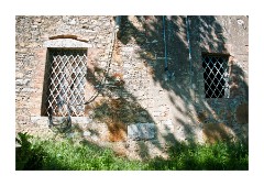 Azienda Faunistico Venatoria Tree Shadows