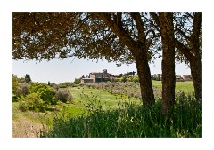 Azienda Faunistico Venatoria