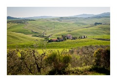 Looking across towards Pian del Colombaio