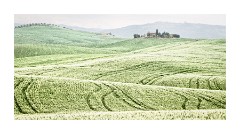 Tuscan Patterns in the Green Fields