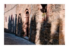 Tuscan Street with Cypress Tree Shadows