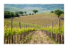 02 Azienda Faunistico Venatoria and St Antimo