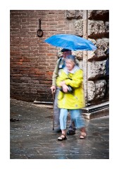 Street and Umbrellas 2
