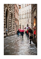 Street and Umbrellas