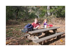 Lunch at Pfeiffer Big Sur State Park