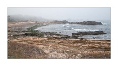 Misty Day at Point Lob State Park