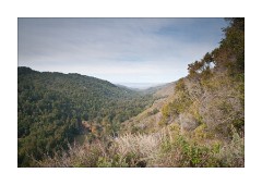 Pfeiffer Big Sur State Park, Valley View Trail