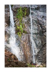 Pfeiffer Big Sur State Park, Waterfall Trail