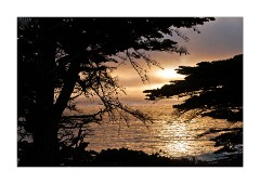 Sunset 17 Mile Drive