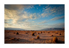 Devils Cornfield Late Afternoon