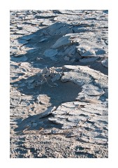 Mequite Flat Sand Dunes Mud Patterns 2