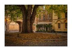 Bath 32  Evening Light on a Square in Bath