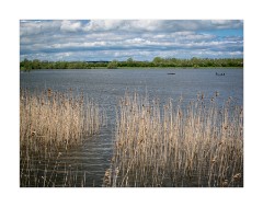 Fen Drayton Lakes