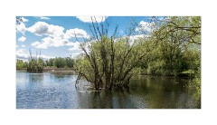 Fen Drayton Nature Reserve