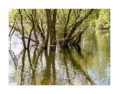 Bedfordshire and Cambridgeshire May 2012