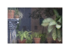 Havana Cuba 13  Old Havana Looking through a florist window which had water pouring down