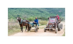 Trinidad Countryside Cuba 01  Walking to the Farm