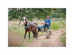 Trinidad Countryside Cuba 03  Walking to the Farm
