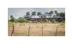 Trinidad Countryside Cuba 06  The Local Train