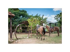 Trinidad Countryside Cuba 07  The Farm