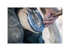 Trinidad Countryside Cuba 20  The Farrier at Work