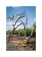 Trinidad Countryside Cuba 42  Cuban Island