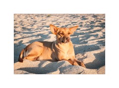 Trinidad Countryside Cuba 51  Ancon Beach Sunrise