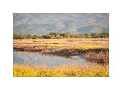 Trinidad Countryside Cuba 52  Trinidad Countryside on route from the beach back to Trinidad