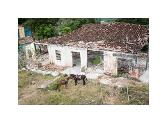 Trinidad Countryside Cuba 63  Manaca Iznaga Looking Down from the Tower at the Horse