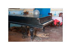 Trinidad Cuba 20  Trinidad Second House and Restaurant - Crocodile under the Piano