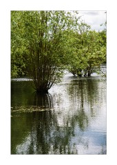 Reflections at Gibonsgate Lake Flatford