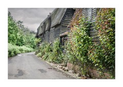 Walking to the Mill Stream