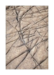 Rock Patterns Kimmeridge Bay