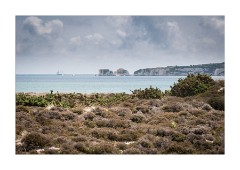 Studland Beach Nature Reserve