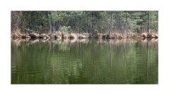 Thursley National Nature Reserve The Lake