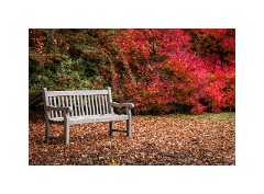 Harry Potter and Anglesey Abbey November 2012