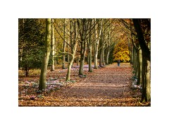 Anglesey Abbey 09  The Winter Walk