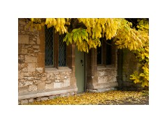 Anglesey Abbey 14  Lode Mill and River