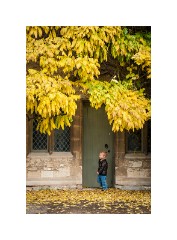 Anglesey Abbey 15  Autumn Colours