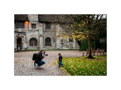 Anglesey Abbey 19  Berries