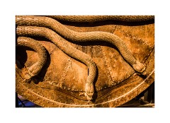 Harry Potter's Studio Tour 14