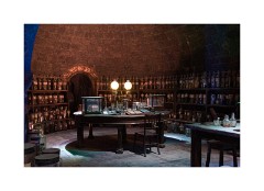 Harry Potter's Studio Tour 21