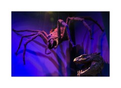 Harry Potter's Studio Tour 34