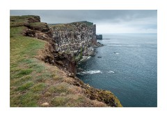 Iceland Day 5  Látrabjarg Cliffs