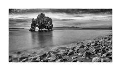 Iceland Day 3  Hvítserkur