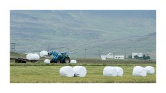 Iceland Day 4  Skardstrond, Westfjords