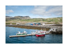 Iceland Day 6  Ferry at Brjánslækur