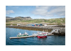 Iceland Day 6  Ferry at Brjánslækur